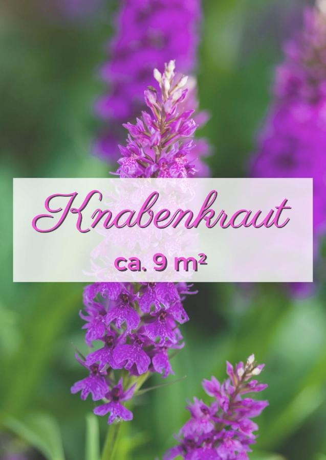 Apartamento Onkel Tom Alpen & Sahara Paderborn Habitación foto